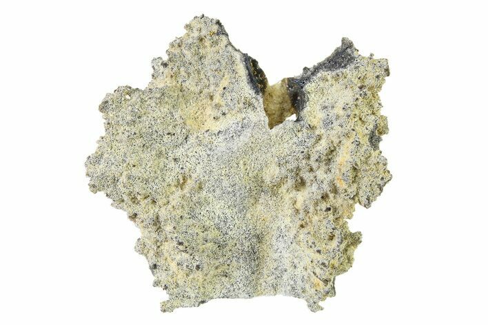 Fulgurite - Petrified Lightning #326143